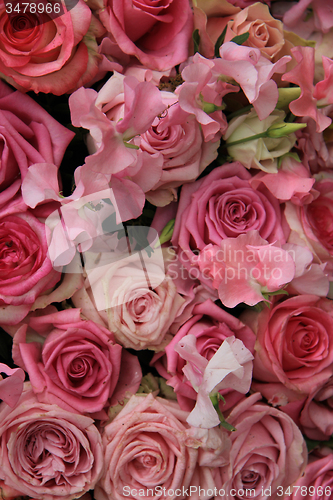 Image of Pink roses