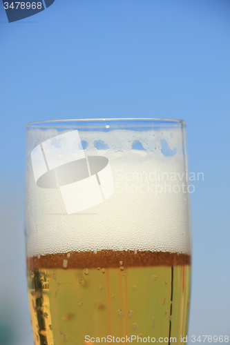 Image of Glass of Beer
