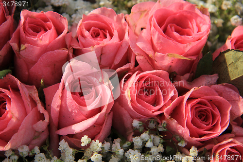 Image of Pink roses and baby breath bouquet