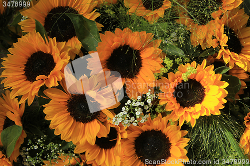 Image of Sunflowers