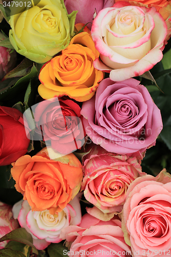 Image of Multicolored wedding roses