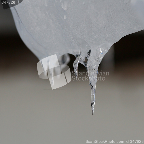 Image of Icicles