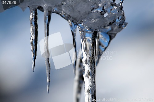 Image of Icicles