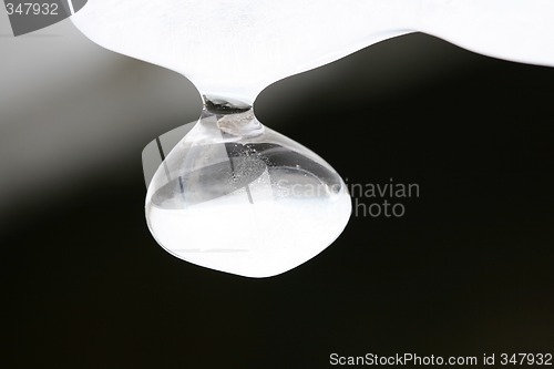 Image of Icicles