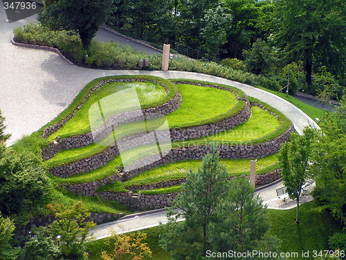 Image of Benched wavy grass plot