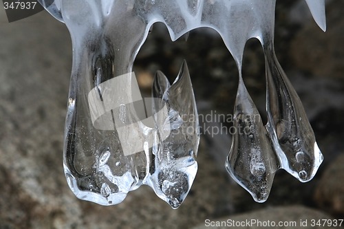 Image of Icicles