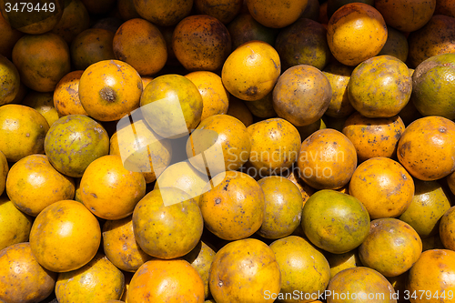 Image of fresh oranges texture