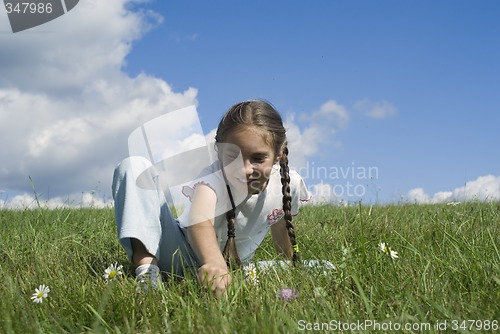 Image of Girl and camomiles I