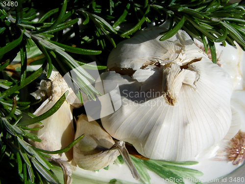 Image of rosemary + garlic