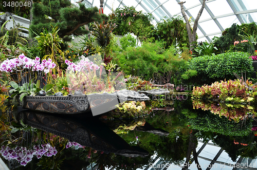 Image of Cloud Forest at Gardens by the Bay in Singapore