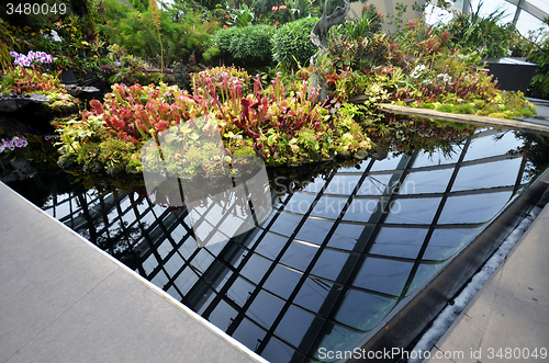 Image of Cloud Forest at Gardens by the Bay in Singapore