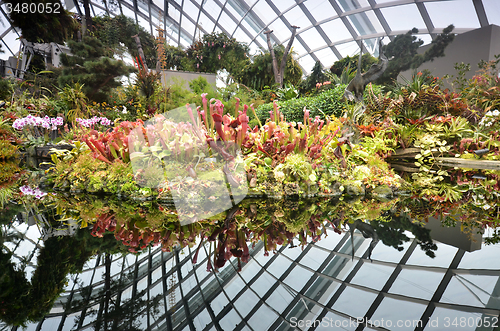 Image of Cloud Forest at Gardens by the Bay in Singapore