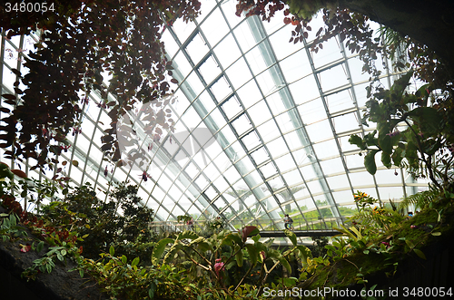 Image of Cloud Forest at Gardens by the Bay in Singapore