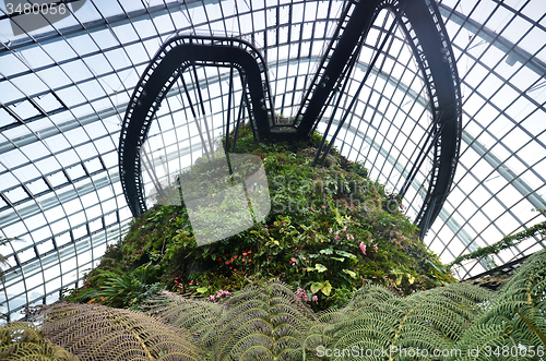 Image of Cloud Forest at Gardens by the Bay