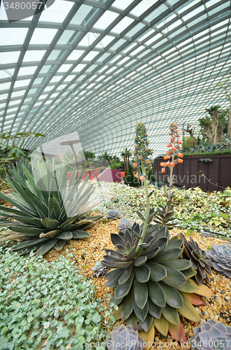 Image of Flower Dome at Gardens by the Bay in Singapore