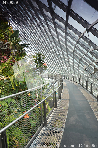 Image of Cloud Forest at Gardens by the Bay in Singapore