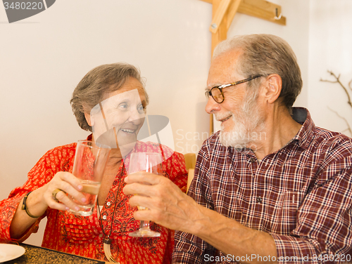 Image of Old couple toasting 