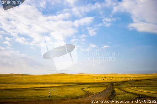 Image of Inner Mongolia Grassland