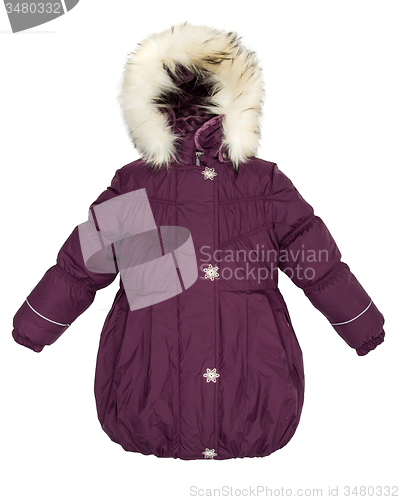 Image of Women winter jacket