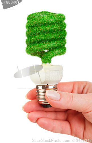 Image of Concept Eco light bulb