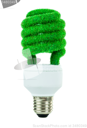 Image of Concept Eco light bulb