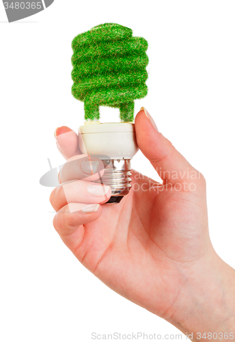 Image of Concept Eco light bulb