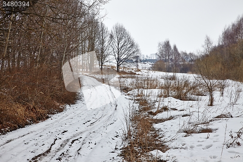 Image of Winter Landscape