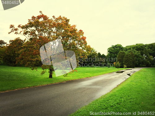 Image of Rainy day in early autumn