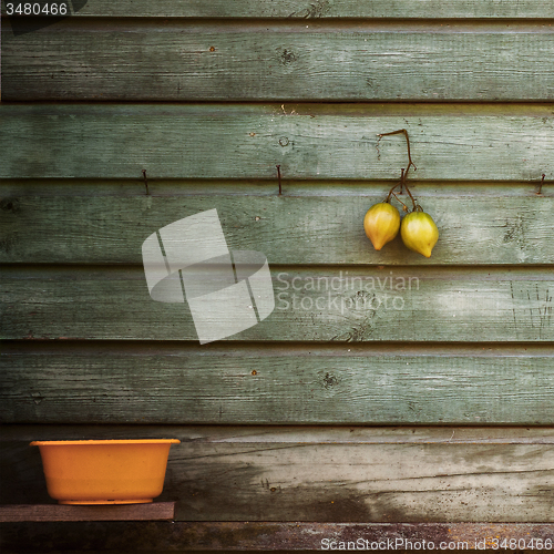 Image of tomatoes hanging on a wooden wall 