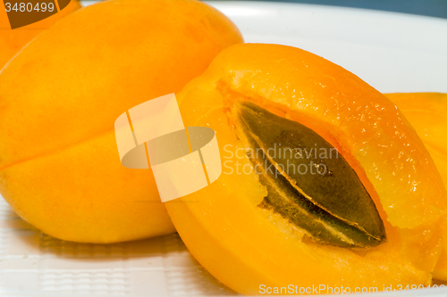 Image of Cut a ripe apricot with bone and flesh.