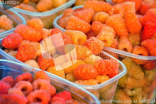 Image of Raspberries in containers for sale.