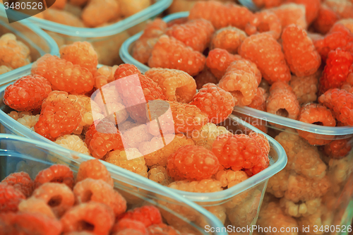 Image of Raspberries in containers for sale.