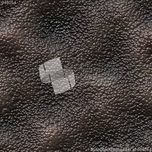 Image of Snail skin