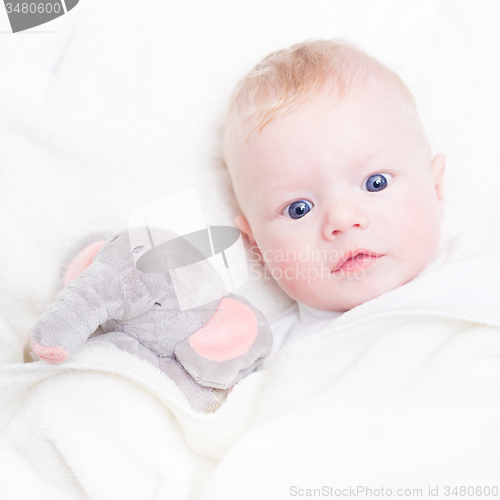 Image of Baby with plush toy.