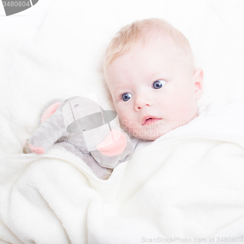 Image of Baby with plush toy.