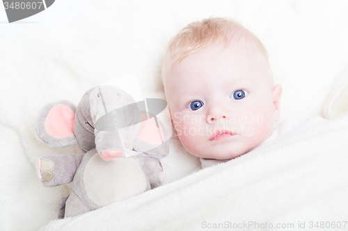 Image of Baby with plush toy.