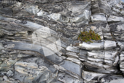 Image of Slate at the Norwegian Coast