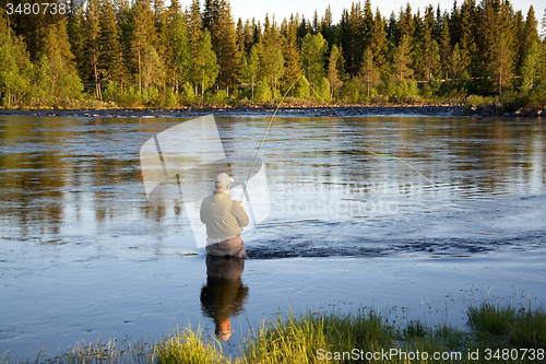 Image of Fly Fishing