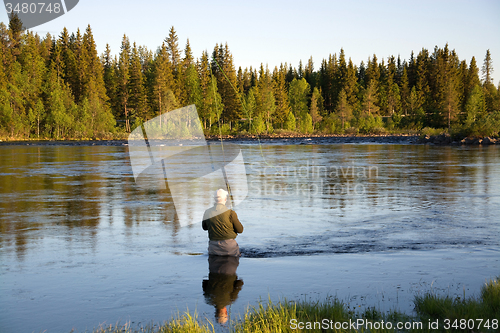 Image of Fly Fishing