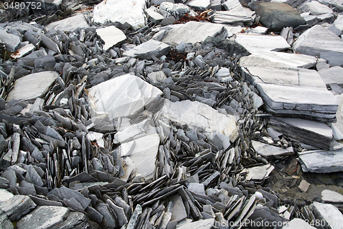 Image of Slate at the Norwegian Coast