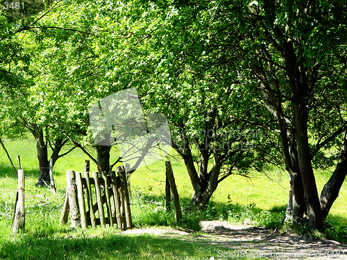 Image of path with gate