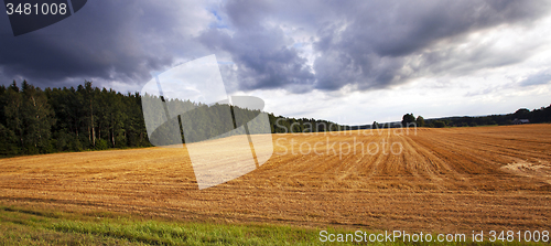 Image of agriculture  