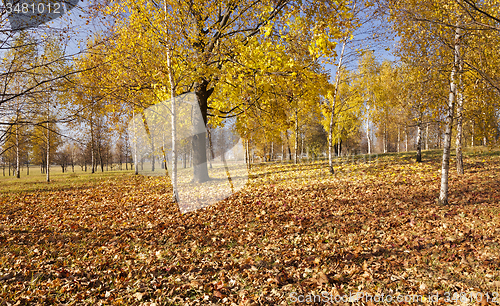 Image of autumn park  