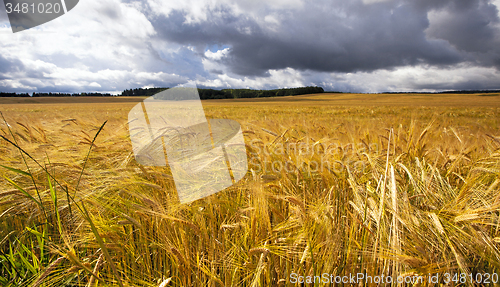 Image of agriculture  