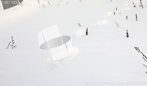 Image of traces on snow  