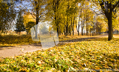 Image of road in the fall 