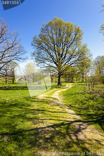 Image of rural road  