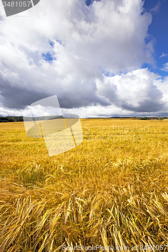 Image of agricultural field  