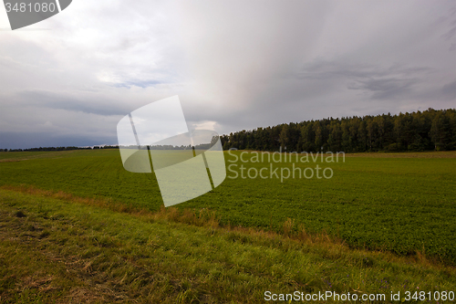 Image of cloudy weather  