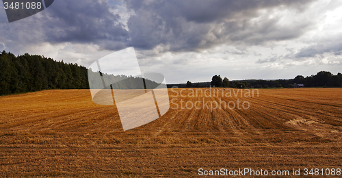 Image of agriculture  